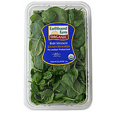 Fast & Easy Recipe for Chicken and Spinach Quesadillas 2009-12-18 13:52:08 Fast & Easy Recipe for Chicken and Spinach Quesadillas 2009-12-18 13:52:08