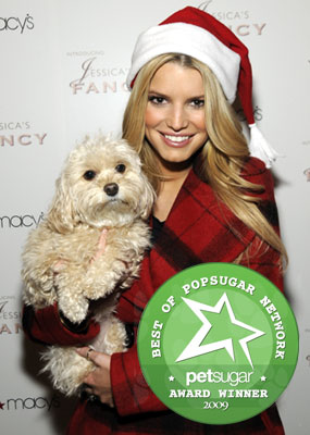 The Results Are in: Most Missed Celebrity Pet