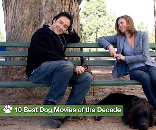 Best Dog Movies of the Decade