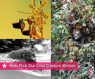 Help Pick Our Cool Capture Winner! 