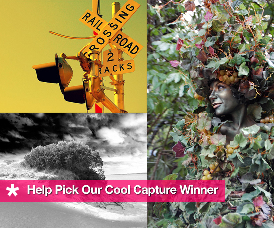 Help Pick Our Cool Capture Winner! 