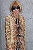 Anna Wintour's Golden Year 