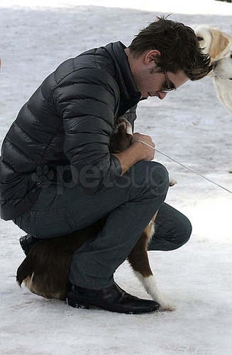 Photos of Zac Efron Playing With Dogs in Aspen Photos of Zac Efron Playing With Dogs in Aspen