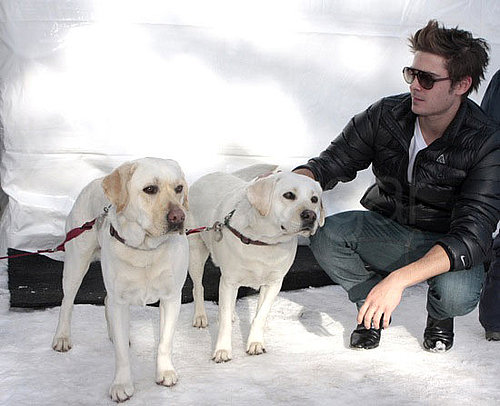 Photos of Zac Efron Playing With Dogs in Aspen Photos of Zac Efron Playing With Dogs in Aspen