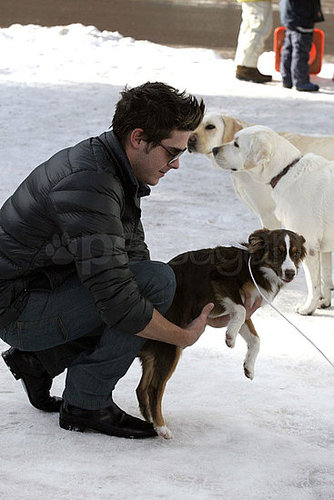 Photos of Zac Efron Playing With Dogs in Aspen Photos of Zac Efron Playing With Dogs in Aspen