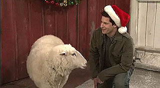 Video of Andy Samberg in "Mark Wahlberg Talks to Christmas Animals" on Saturday Night Live
