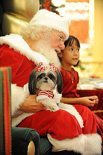 Did Santa Meet, Surpass or Fall Short of Expectations?