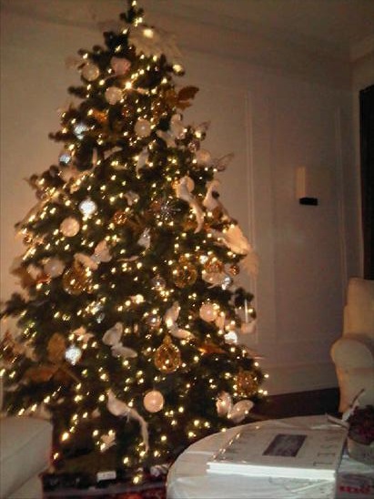 Guess Whose Christmas Tree This Is? Guess Whose Christmas Tree This Is?
