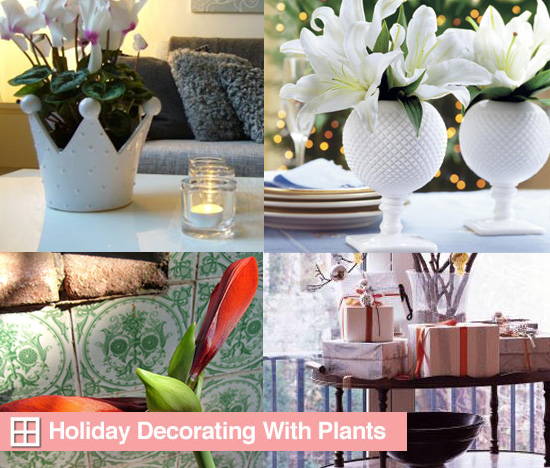 Holiday Decorating With Plants and Flowers Holiday Decorating With Plants and Flowers