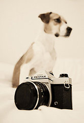 Turn 2010 Into the Year of the Picture! 