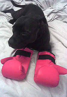 Too Cute For Words!