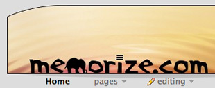 Online Flash Cards Help You Learn With Memorize