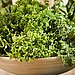 Dark Leafy Greens