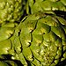 Artichokes