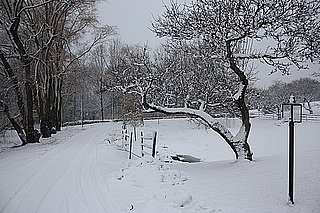 Do You Hire a Snow Plow Service?