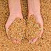 Whole Grains