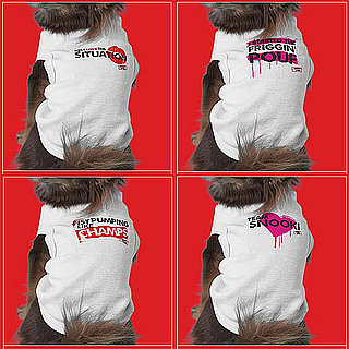 Are Your Pets Ready to Rock Jersey Shore Gear?