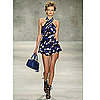 2010 Spring Runway Collection Quiz