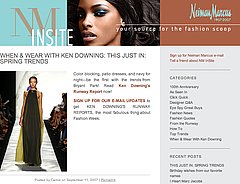Fab Site: NM InSite