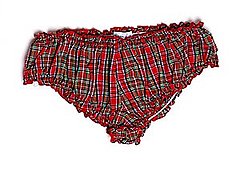 The Look For Less: Steve Alan Tartan Ruffled Panty 