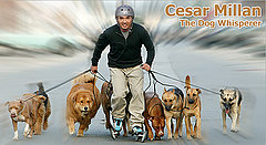 Skate Like The Dog Whisperer:  LandRoller Skates