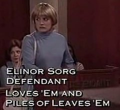 The People's Court: What's Your Verdict?