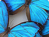 ImageKind.com