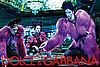 Heidi Mount Makes Like a Pink Gorilla for Dolce & Gabbana's Fall 2009 Ad Campaign