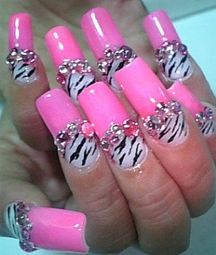 Pink and Zebra Pink and Zebra