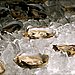 Oysters on the Half Shell