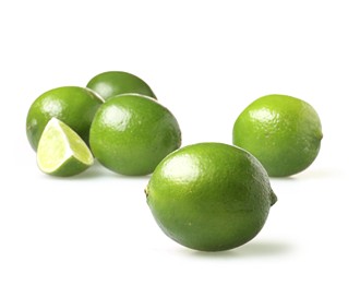 Mojito Mojito
