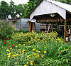 10 Great Urban Farms Across the United States