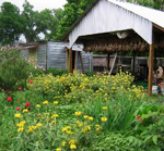 10 Great Urban Farms Across the United States 10 Great Urban Farms Across the United States