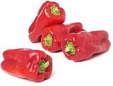 Stuffed Pepper Recipe 2009-07-20 12:22:10 Stuffed Pepper Recipe 2009-07-20 12:22:10