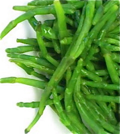 Sea Beans
