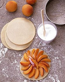 Apricot Tart Recipe 2009-07-22 13:00:31