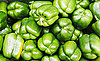 Poll: Do You Like Green Bell Peppers?