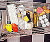 Do You Grocery Shop on a Certain Day of the Week?
