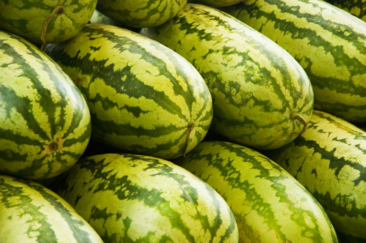 Study Finds Rejected Watermelons Could Be Source of Renewable Energy Study Finds Rejected Watermelons Could Be Source of Renewable Energy