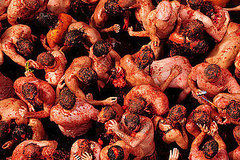 Annual La Tomatina Tomato Fight in Valencia, Spain Annual La Tomatina Tomato Fight in Valencia, Spain