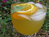 Orange Basil White Wine Sangria Recipe 2009-09-03 16:10:03