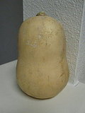 Roasted Butternut Squash Recipe 2009-10-02 15:02:26