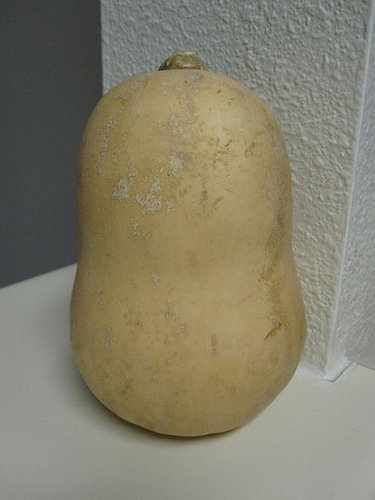 Roasted Butternut Squash Roasted Butternut Squash