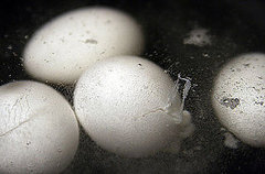 Do You Eat Hard Boiled Eggs? Do You Eat Hard Boiled Eggs?