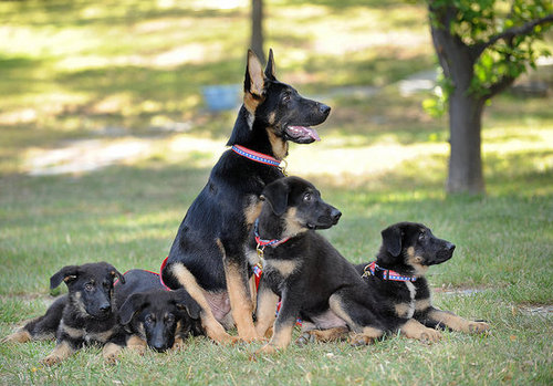 Meet Trustt, Solace, Prodigy, Valor and Dejavu Meet Trustt, Solace, Prodigy, Valor and Dejavu