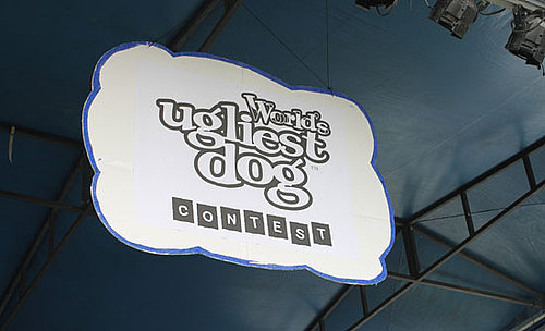 Photos and Fun from the 2009 World's Ugliest Dog Contest in Petaluma, California