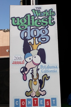 Photos of the 2009 Worlds Ugliest Dog Contest Photos of the 2009 Worlds Ugliest Dog Contest