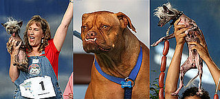 Weigh In: Who Was the Ugliest of Them All?