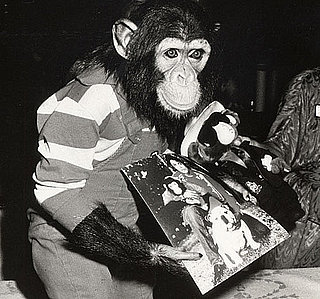 Where Are Michael Jackson's Pets Now?: In the LINK of an Eye