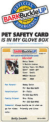 Get the Bark Buckle Up Safety Kit for Your Dog Before Your Next Road Trip Get the Bark Buckle Up Safety Kit for Your Dog Before Your Next Road Trip